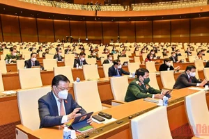 Các đại biểu Quốc hội tham gia biểu quyết thông qua Nghị quyết về thí điểm một số cơ chế, chính sách đặc thù phát triển thành phố Cần Thơ. (Ảnh: LINH KHOA)