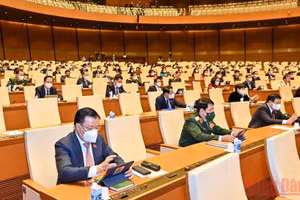 Các đại biểu Quốc hội tham gia biểu quyết thông qua Nghị quyết về thí điểm một số cơ chế, chính sách đặc thù phát triển thành phố Cần Thơ. (Ảnh: LINH KHOA)