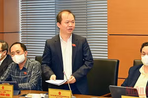 Ông Bùi Hoài Sơn, Ủy viên Thường trực Ủy ban Văn hóa, Giáo dục của Quốc hội, đại biểu Quốc hội thành phố Hà Nội. (Ảnh: Linh Khoa)