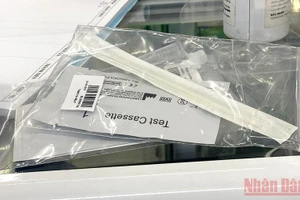 (Ảnh minh họa: MINH DUY)