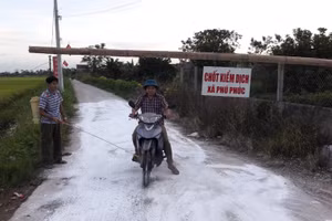 Chốt kiểm dịch bệnh tả lợn châu phi tại xã Phú Phúc, huyện Lý Nhân.