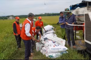 Hội Chữ thập đỏ các cấp chuẩn bị phương án ứng phó với mưa lũ, sẵn sàng hỗ trợ người dân bị thiệt hại. ( Ảnh: T.Ư Hội CTĐ Việt Nam cung cấp)