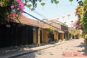 Các doanh nghiệp du lịch đang rơi vào tình trạng điêu đứng vì Covid-19 (Ảnh: NDĐT)