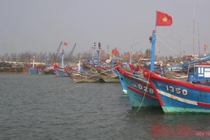 Hàng trăm tàu thuyền đã di chuyển vào khu trú ẩn.