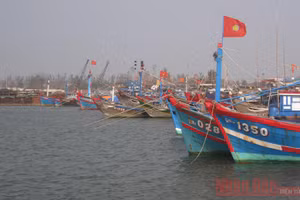 Hàng trăm tàu thuyền đã di chuyển vào khu trú ẩn.