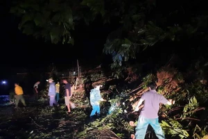 Các lực lượng nỗ lực dọn dẹp cây cối thông tuyến lên Bắc Trà My. Ảnh: Báo Quảng Nam.