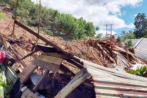 Hiện trường vụ sạt lở đất tại thôn 1, xã Trà Vân, huyện Nam Trà My (Ảnh: Báo Quảng Nam).