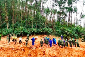 Lực lượng cứu hộ, cứu nạn đang khẩn trương tìm kiếm những người mất tích tại khu vực Tiểu khu 67, Trạm Kiểm lâm sông Bồ.