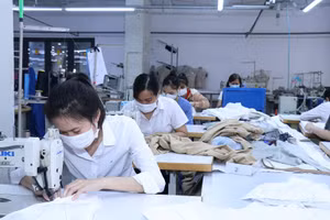 Người lao động đang làm việc nếu ở nhà thuê sẽ được hỗ trợ tiền thuê nhà tối đa 3 tháng.