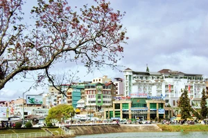 Ảnh trong bài: Hài hòa giữa bảo tồn và phát triển là bài toán cần cân nhắc thận trọng để Đà Lạt phát triển bền vững.