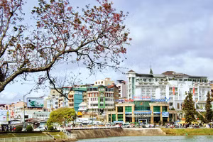 Ảnh trong bài: Hài hòa giữa bảo tồn và phát triển là bài toán cần cân nhắc thận trọng để Đà Lạt phát triển bền vững.