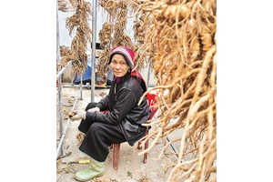 Một người phụ nữ trong xưởng HTX cộng đồng.