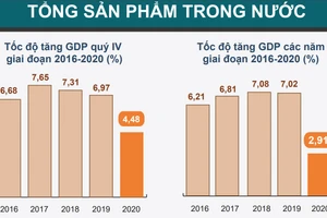 [Infographic] GDP năm 2020 tăng 2,91%