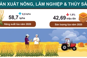 [Infographic] Bất chấp thiên tai, dịch bệnh, sản xuất nông nghiệp đạt khá