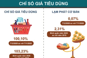 CPI năm 2020 tăng 3,23%
