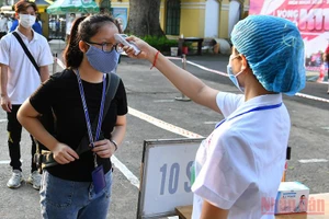 Ảnh minh hoạ: THUỶ NGUYÊN