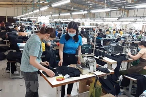 Công nhân Công ty TNHH May Nien Hsing Ninh Bình, khu công nghiệp Khánh Phú, huyện Yên Khánh, Ninh Bình sản xuất trong mùa dịch. (Ảnh: TTXVN).