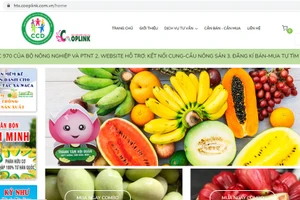 Giao diện trang thông tin đăng ký kết nối cung cầu nông sản.