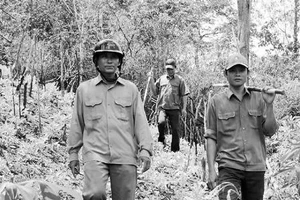 Những chặng đường không mỏi.