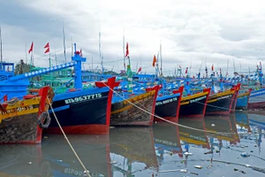 Tàu thuyền neo đậu, tránh trú bão trên sông Cà Ty, TP Phan Thiết (Bình Thuận).