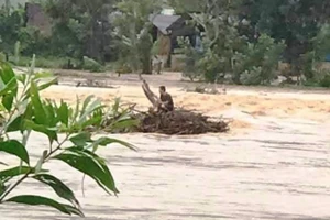 Ông Nguyễn Văn Tự đang mắc kẹt giữa dòng nước chờ cứu hộ. 