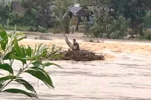 Ông Nguyễn Văn Tự đang mắc kẹt giữa dòng nước chờ cứu hộ. 