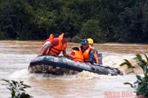 Hai du khách bám vào cành cây giữa dòng lũ dữ được giải cứu.
