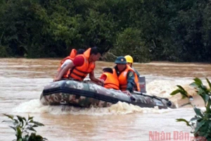 Hai du khách bám vào cành cây giữa dòng lũ dữ được giải cứu.