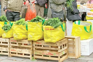 Hàng rau tự phát trên vỉa hè của người châu Á nhập cư lậu tại Paris.