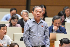 Đại biểu Quốc hội Lê Thanh Vân (Cà Mau).