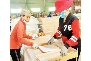 Sản xuất cánh tủ bếp và tủ nhà tắm tại Công ty gỗ Tiến Đạt. Ảnh: Mai Hương