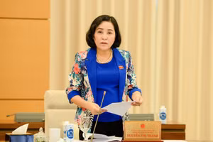 Trưởng Ban Công tác đại biểu, Phó trưởng Tiểu ban Nhân sự của Hội đồng Bầu cử Quốc gia Nguyễn Thị Thanh. Ảnh: DUY LINH