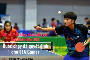 Bước chạy đà quyết định của bóng bàn Việt Nam hướng tới SEA Games