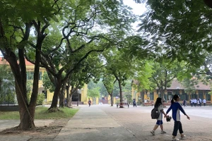 Trong khuôn viên Trường THPT Chu Văn An, Hà Nội (Ảnh: THUỲ LINH)