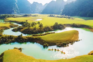 Toàn cảnh thảo nguyên.