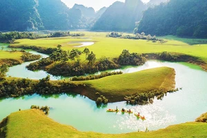 Toàn cảnh thảo nguyên.