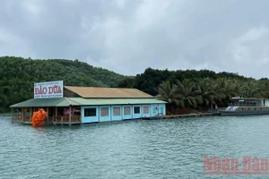 Đảo Dừa - đảo du lịch xanh tựa lưng vào mênh mông “rừng ông Tuy”.