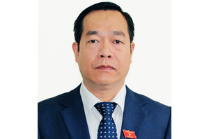 Đẩy mạnh toàn diện, đồng bộ công cuộc đổi mới