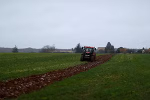 Một cánh đồng ở Villeneuve-sur-Auvers, gần Paris, Pháp. (Ảnh: Reuters)