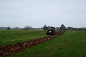 Một cánh đồng ở Villeneuve-sur-Auvers, gần Paris, Pháp. (Ảnh: Reuters)