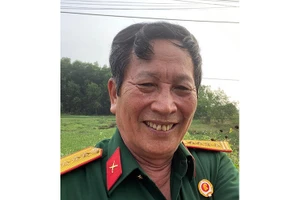 Kết hợp hài hòa giữa đầu tư trong nước và đầu tư trực tiếp nước ngoài