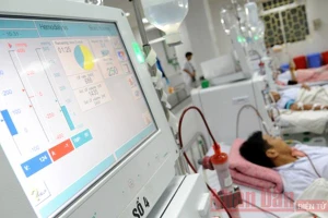 Ảnh minh họa: Trần Hải.