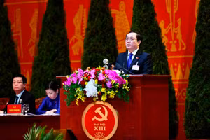 Bộ trưởng Khoa học Công nghệ Huỳnh Thành Đạt phát biểu tham luận. (Ảnh: DUY LINH)