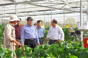 TS Phạm S (đứng giữa) thực tế tại nhà vườn sản xuất nông nghiệp công nghệ cao huyện Đơn Dương, Lâm Đồng.