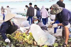 Tình nguyện viên dọn rác ở Ninh Hòa. Ảnh: THÁI THỊNH
