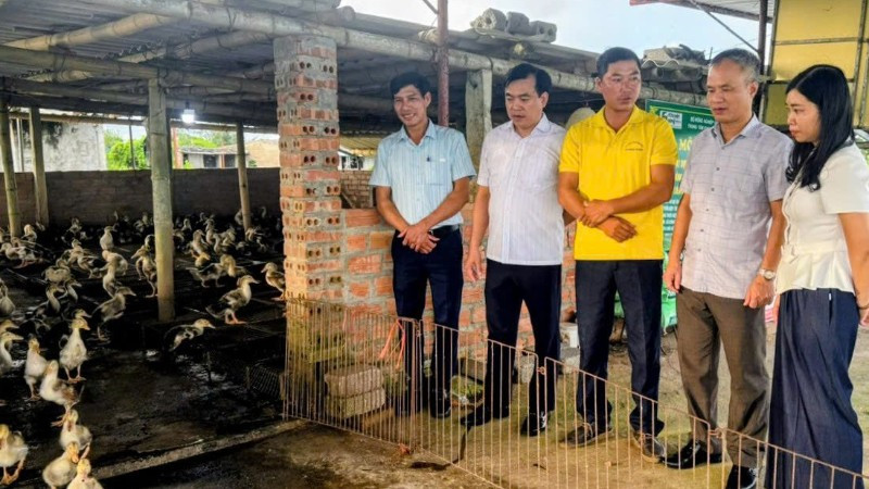 Mô hình kinh doanh tổng hợp tại Hợp tác xã Hoà Phong được tỉnh Hưng Yên đánh giá cao, coi là hình mẫu để các địa phương học tập, nhân rộng.