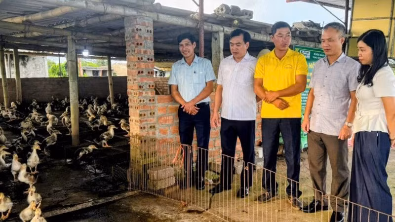 Mô hình kinh doanh tổng hợp tại Hợp tác xã Hoà Phong được tỉnh Hưng Yên đánh giá cao, coi là hình mẫu để các địa phương học tập, nhân rộng.