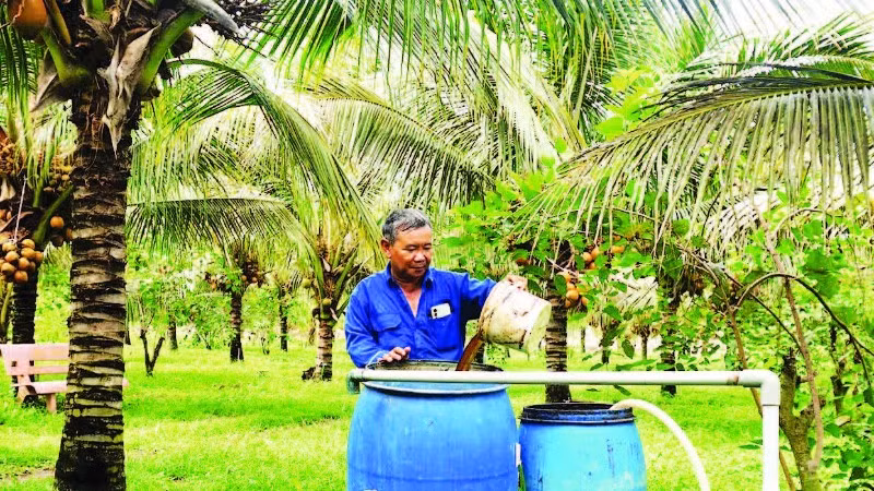 Sử dụng chế phẩm sinh học trong quá trình canh tác dừa hữu cơ ở Tây Ninh.