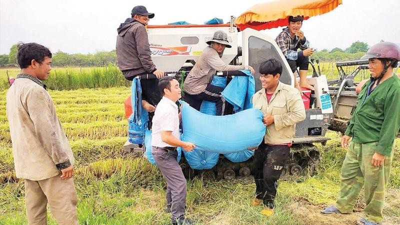 Niềm vui được mùa của người dân xã Ia Mơ.