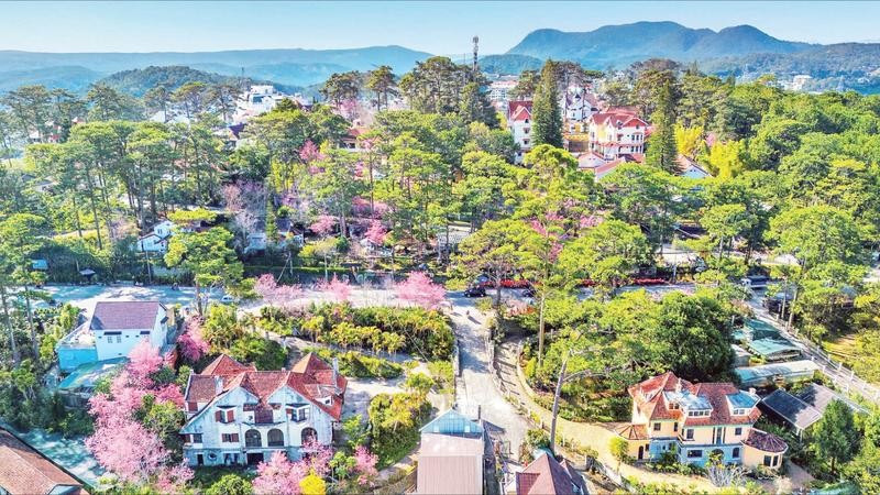 Đà Lạt-rừng trong phố, phố trong rừng.